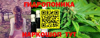 соль ск Шебекино