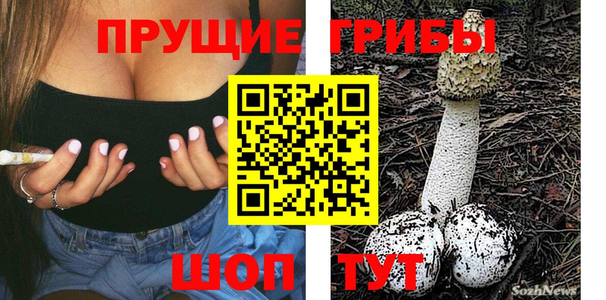 Галлюциногенные грибы Cubensis  Вход с VPN  Мурманск 
